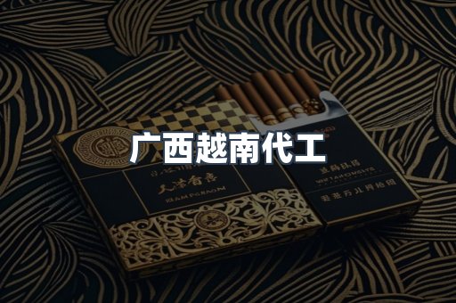 广西越南代工